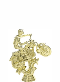 MOTORCYCLE MALE 100mm