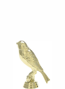 BIRD CANARY 55mm