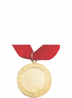 GOLD 35mm SMALL BUDGET MEDAL (NETT)