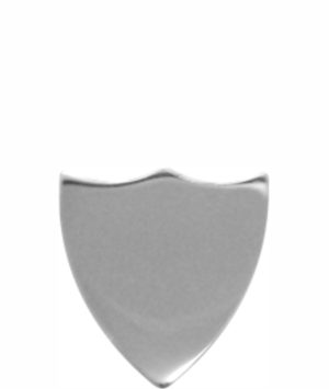 SILVER SHIELD SMALL 30mm X 40mm