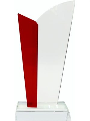 Glass Trophy 250mm