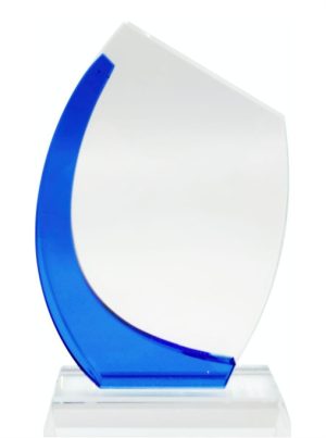 Glass Trophy 220mm