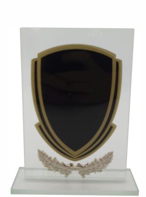 Glass Trophy 165mm 5MM THICK