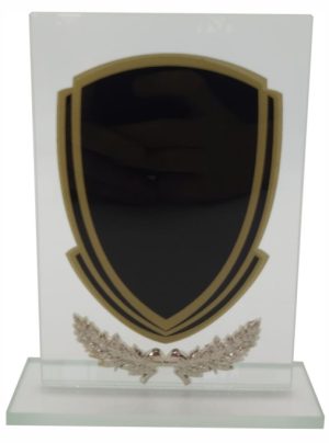 Glass Trophy 185mm 5MM THICK