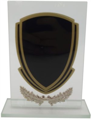 Glass Trophy 205mm 5MM THICK