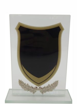 Glass Trophy 165mm 5MM THICK