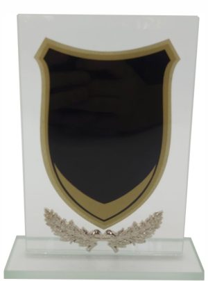 Glass Trophy 185mm 5MM THICK