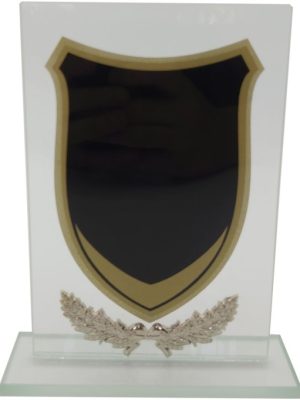 Glass Trophy 205mm 5MM THICK