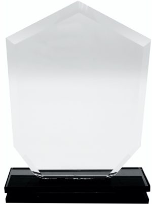 GLASS TROPHY 240mm HIGH – (NETT)